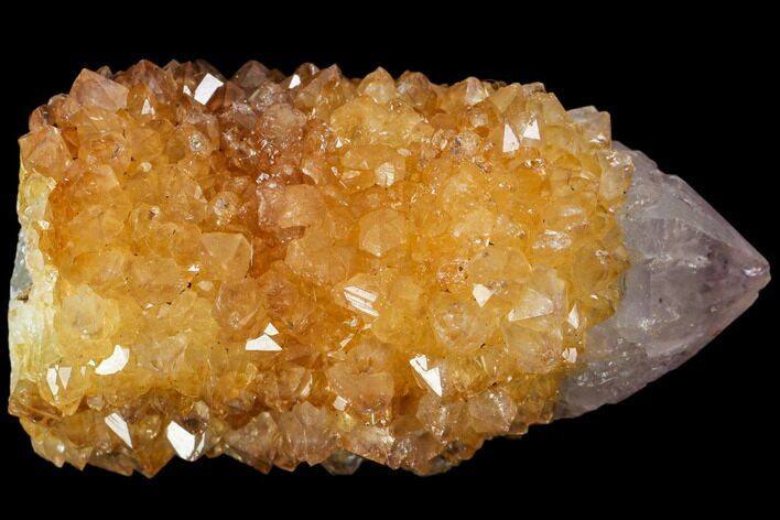 Sunshine Cactus Quartz Crystal - South Africa #115139